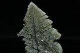 Skeletal Halite Crystals with Tolbachite - Poland #175422-2